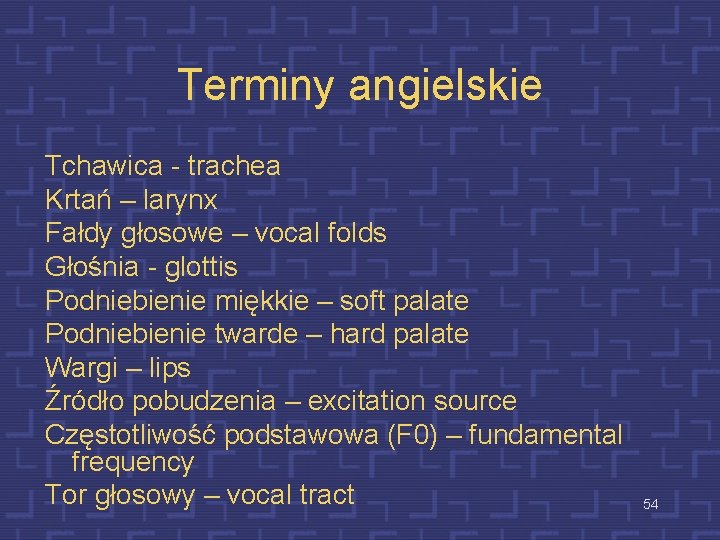 Terminy angielskie Tchawica - trachea Krtań – larynx Fałdy głosowe – vocal folds Głośnia