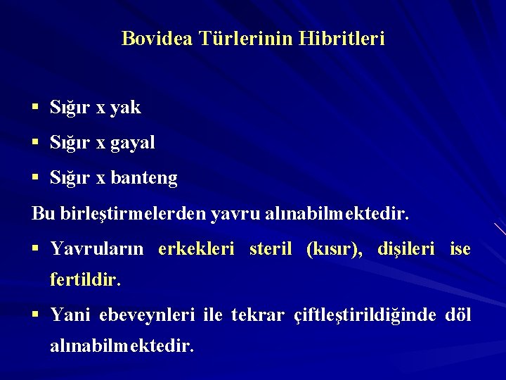 Bovidea Türlerinin Hibritleri § Sığır x yak § Sığır x gayal § Sığır x