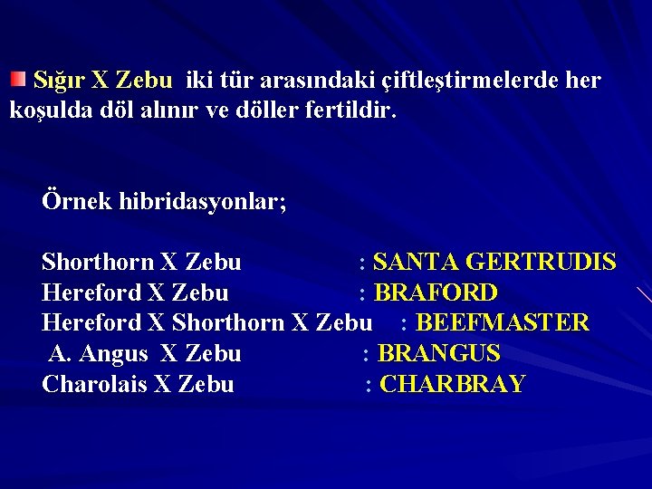 Sığır X Zebu iki tür arasındaki çiftleştirmelerde her koşulda döl alınır ve döller fertildir.