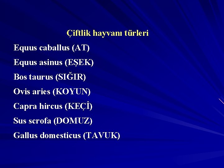 Çiftlik hayvanı türleri Equus caballus (AT) Equus asinus (EŞEK) Bos taurus (SIĞIR) Ovis aries