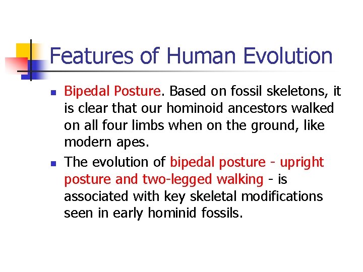 Features of Human Evolution n n Bipedal Posture. Based on fossil skeletons, it is