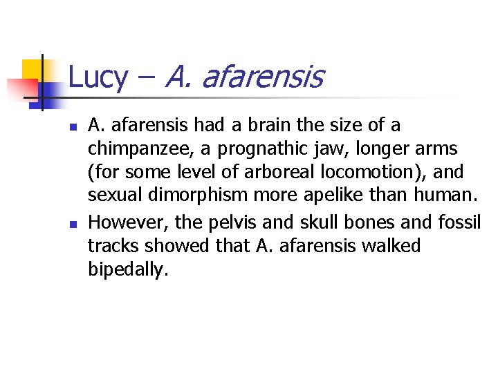 Lucy – A. afarensis n n A. afarensis had a brain the size of