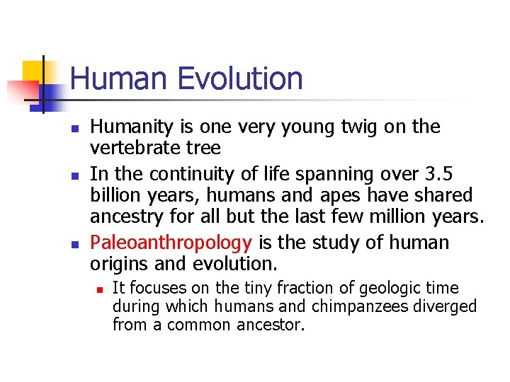 Human Evolution n Humanity is one very young twig on the vertebrate tree In