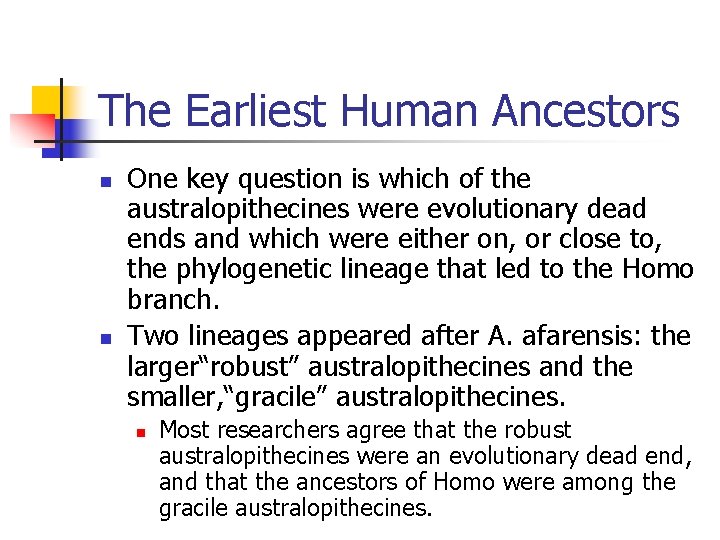 The Earliest Human Ancestors n n One key question is which of the australopithecines