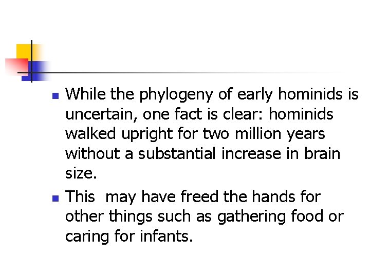 n n While the phylogeny of early hominids is uncertain, one fact is clear: