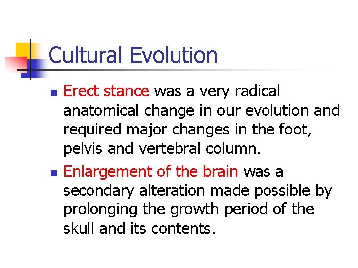 Cultural Evolution n n Erect stance was a very radical anatomical change in our