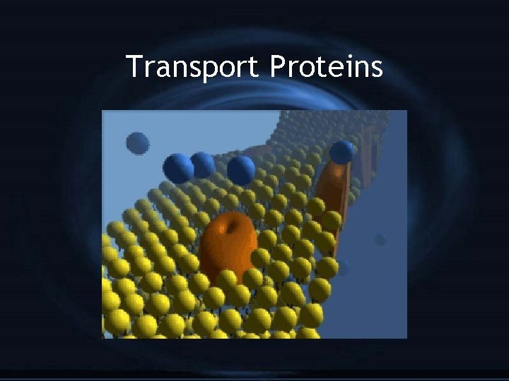 Transport Proteins 