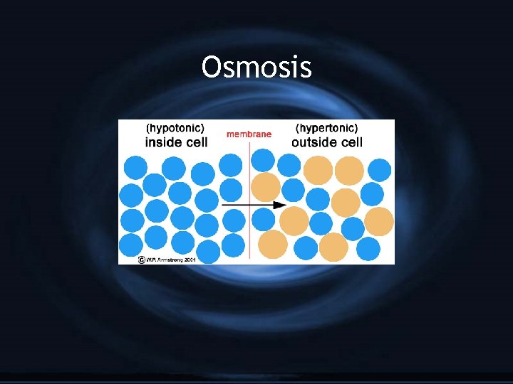 Osmosis 