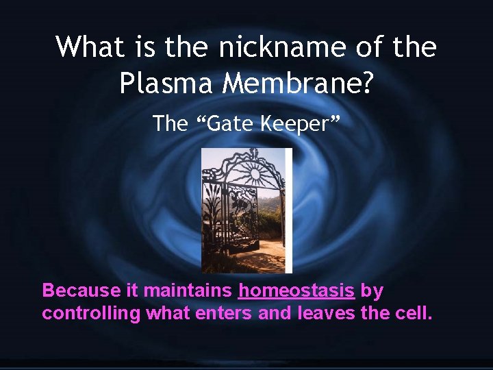 What is the nickname of the Plasma Membrane? The “Gate Keeper” Because it maintains