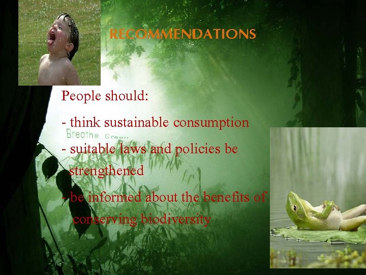 RECOMMENDATIONS People should: - think sustainable consumption - suitable laws and policies be strengthened