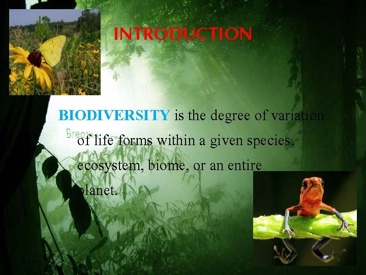 INTRODUCTION • BIODIVERSITY is the degree of variation of life forms within a given