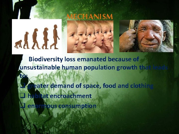 MECHANISM Biodiversity loss emanated because of unsustainable human population growth that leads to: q