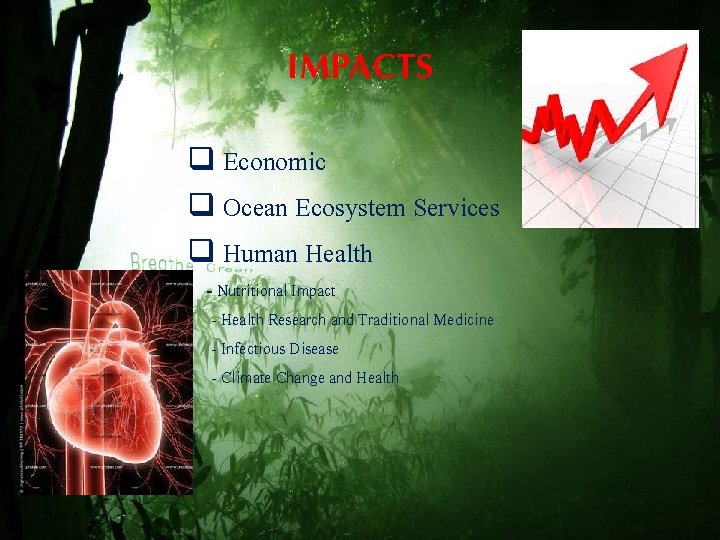 IMPACTS q Economic q Ocean Ecosystem Services q Human Health - Nutritional Impact -