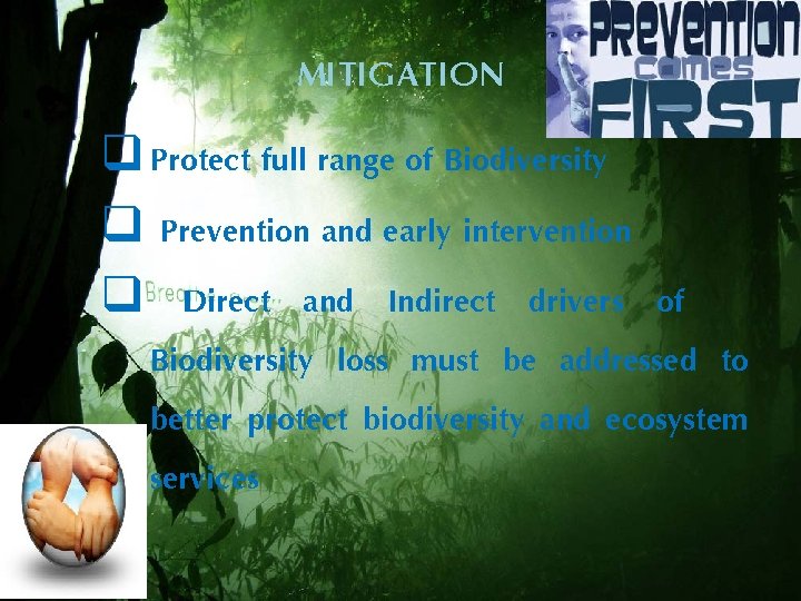 MITIGATION q Protect full range of Biodiversity q Prevention and early intervention q Direct