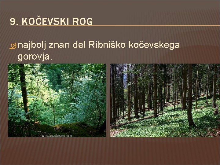 9. KOČEVSKI ROG najbolj znan del Ribniško kočevskega gorovja. 