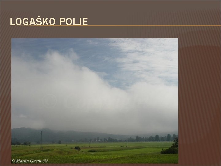 LOGAŠKO POLJE 