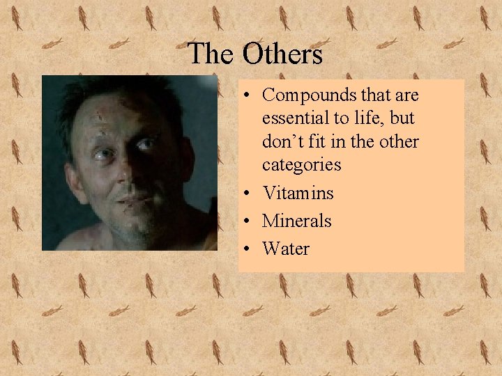 The Others • Compounds that are essential to life, but don’t fit in the