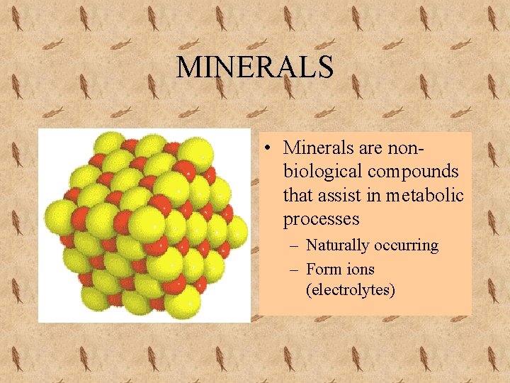MINERALS • Minerals are nonbiological compounds that assist in metabolic processes – Naturally occurring