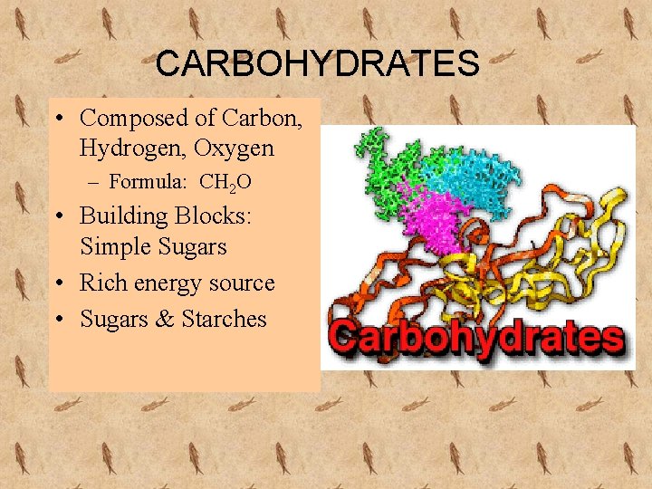 CARBOHYDRATES • Composed of Carbon, Hydrogen, Oxygen – Formula: CH 2 O • Building