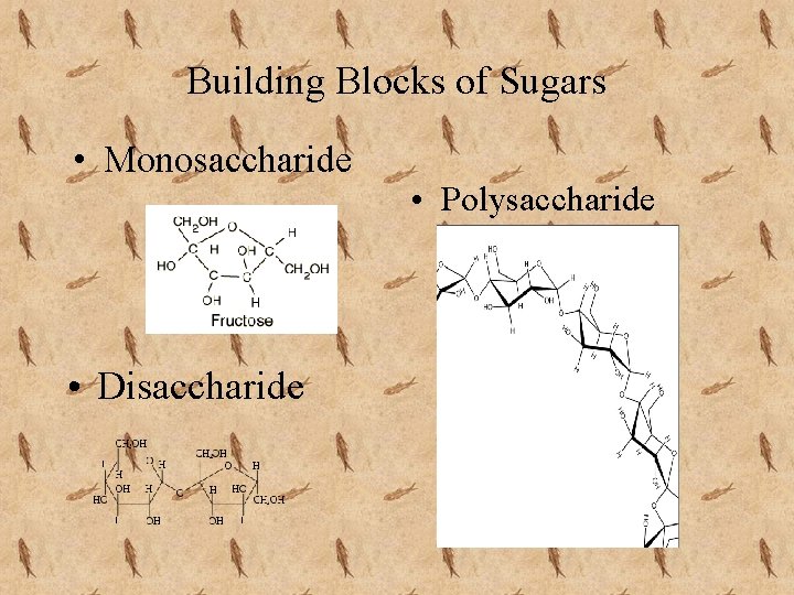 Building Blocks of Sugars • Monosaccharide • Disaccharide • Polysaccharide 