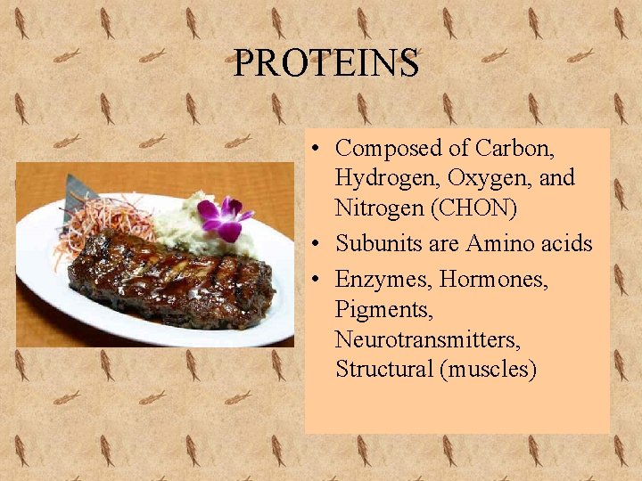 PROTEINS • Composed of Carbon, Hydrogen, Oxygen, and Nitrogen (CHON) • Subunits are Amino