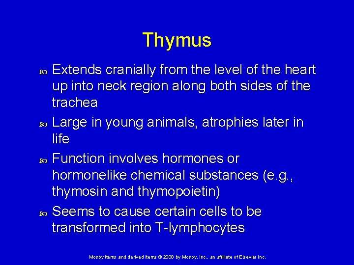 Thymus Extends cranially from the level of the heart up into neck region along