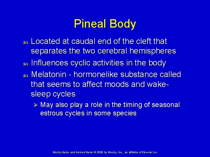 Pineal Body Located at caudal end of the cleft that separates the two cerebral