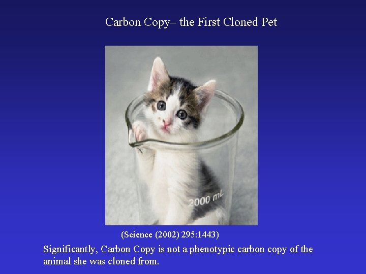 Carbon Copy– the First Cloned Pet (Science (2002) 295: 1443) Significantly, Carbon Copy is