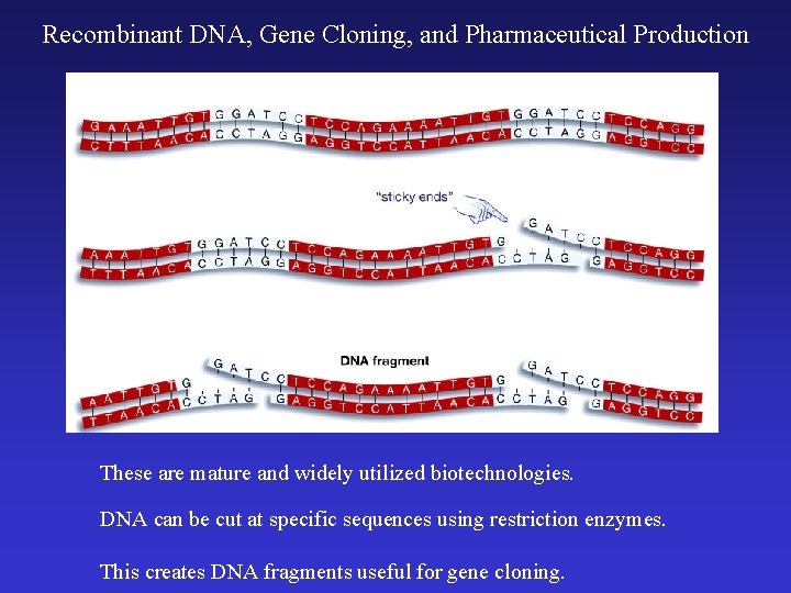 Recombinant DNA, Gene Cloning, and Pharmaceutical Production These are mature and widely utilized biotechnologies.
