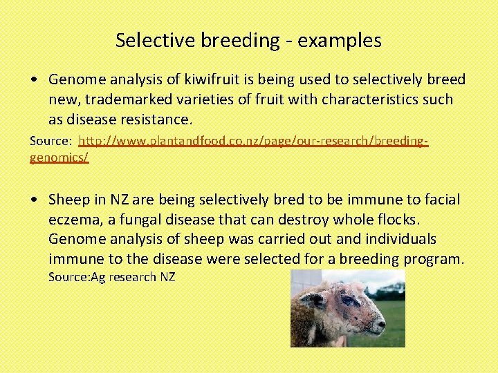 Selective breeding - examples • Genome analysis of kiwifruit is being used to selectively