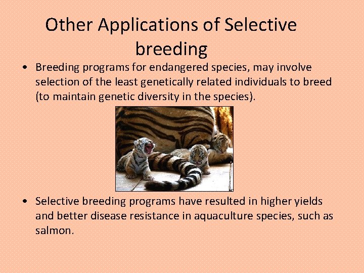 Other Applications of Selective breeding • Breeding programs for endangered species, may involve selection