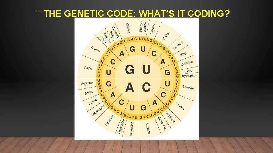 THE GENETIC CODE: WHAT’S IT CODING? Copyright Pearson Prentice Hall: http: //www. biologyjunction. com/powerpoints_dragonfly_book_prent.