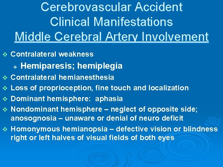 Cerebrovascular Accident Clinical Manifestations Middle Cerebral Artery Involvement v Contralateral weakness v v v