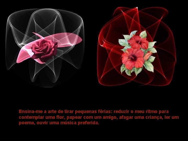 Ensina-me a arte de tirar pequenas férias: reduzir o meu ritmo para contemplar uma