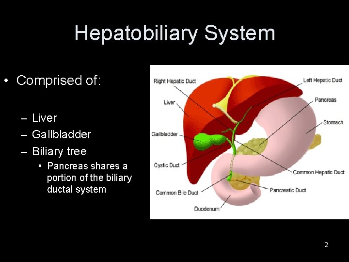 Hepatobiliary System • Comprised of: – Liver – Gallbladder – Biliary tree • Pancreas