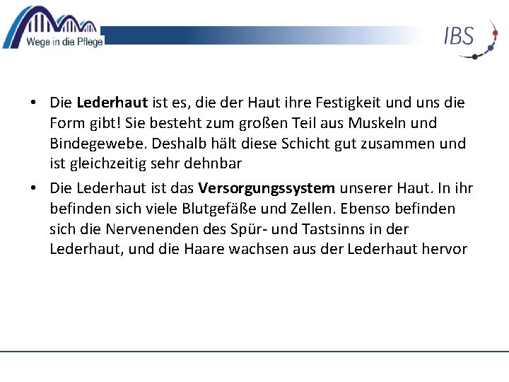  • Die Lederhaut ist es, die der Haut ihre Festigkeit und uns die