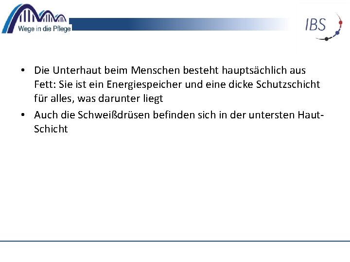  • Die Unterhaut beim Menschen besteht hauptsächlich aus Fett: Sie ist ein Energiespeicher