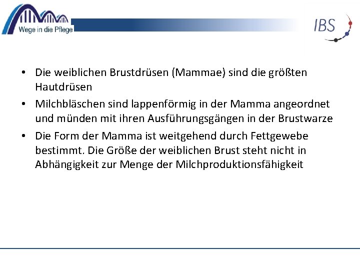  • Die weiblichen Brustdrüsen (Mammae) sind die größten Hautdrüsen • Milchbläschen sind lappenförmig