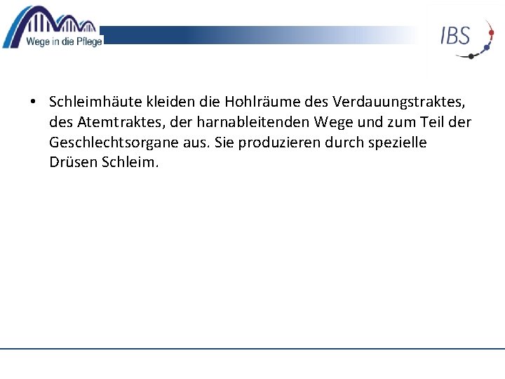  • Schleimhäute kleiden die Hohlräume des Verdauungstraktes, des Atemtraktes, der harnableitenden Wege und