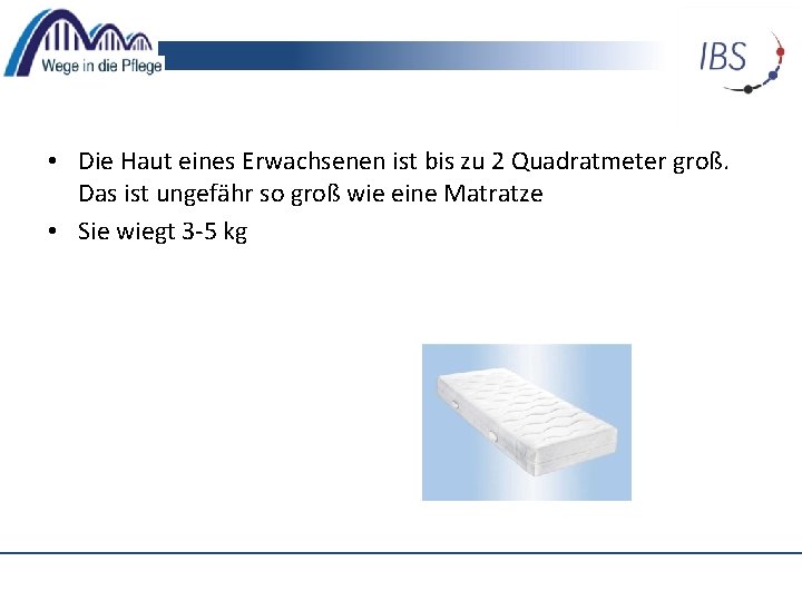  • Die Haut eines Erwachsenen ist bis zu 2 Quadratmeter groß. Das ist