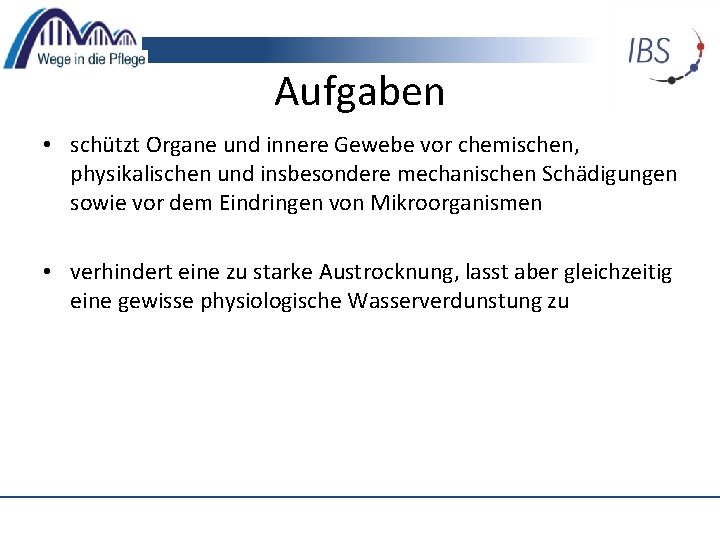 Aufgaben • schützt Organe und innere Gewebe vor chemischen, physikalischen und insbesondere mechanischen Schädigungen