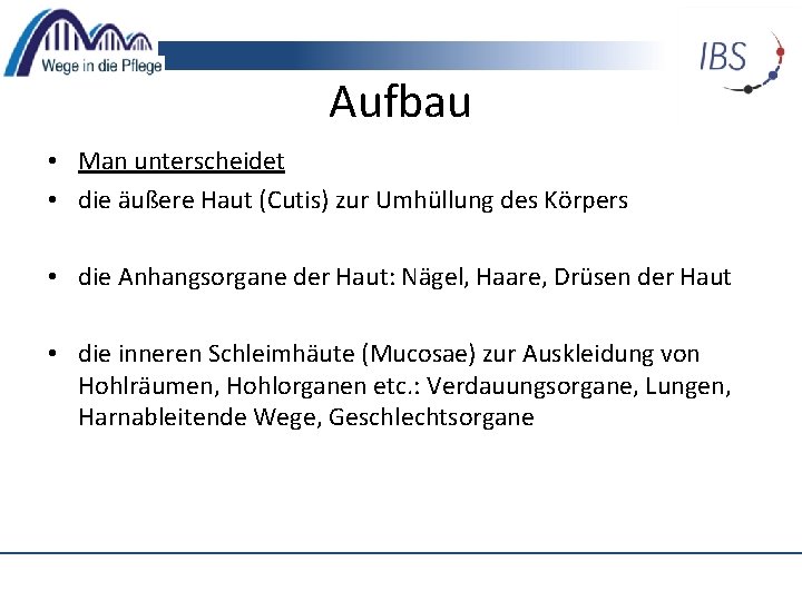 Aufbau • Man unterscheidet • die äußere Haut (Cutis) zur Umhüllung des Körpers •