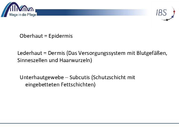 Oberhaut = Epidermis Lederhaut = Dermis (Das Versorgungssystem mit Blutgefäßen, Sinneszellen und Haarwurzeln) Unterhautgewebe