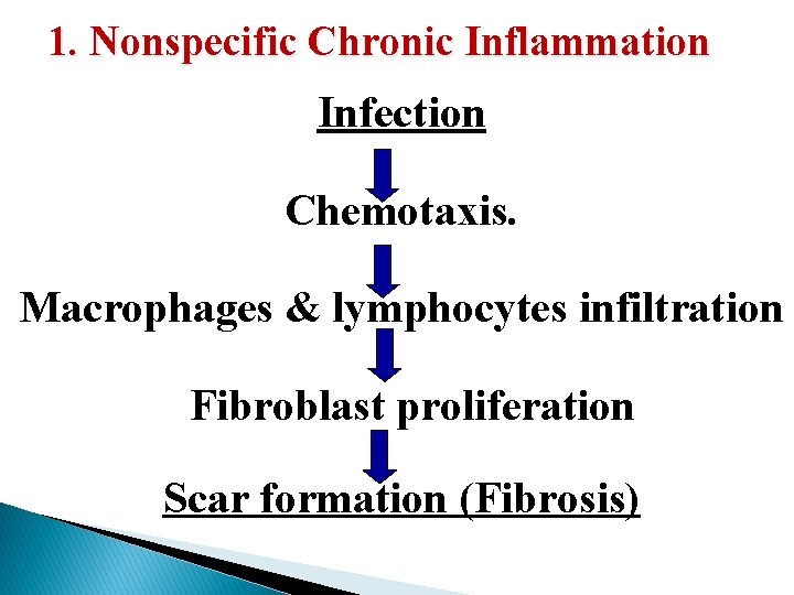 1. Nonspecific Chronic Inflammation Infection Chemotaxis. Macrophages & lymphocytes infiltration Fibroblast proliferation Scar formation 1. Nonspecific Chronic Inflammation Infection Chemotaxis. Macrophages & lymphocytes infiltration Fibroblast proliferation Scar formation