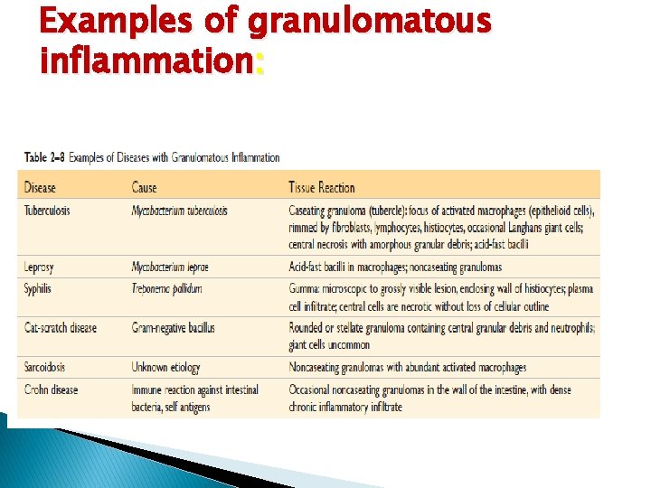 Examples of granulomatous inflammation: Examples of granulomatous inflammation: