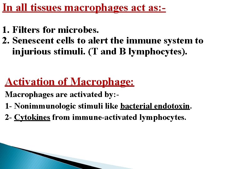 In all tissues macrophages act as: 1. Filters for microbes. 2. Senescent cells to In all tissues macrophages act as: 1. Filters for microbes. 2. Senescent cells to