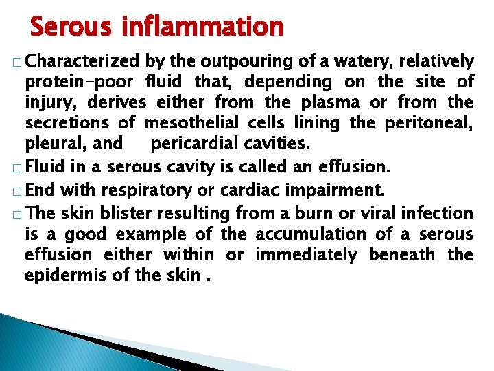 Serous inflammation � Characterized by the outpouring of a watery, relatively protein-poor fluid that, Serous inflammation � Characterized by the outpouring of a watery, relatively protein-poor fluid that,