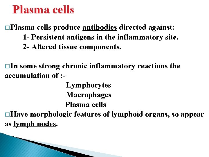 Plasma cells � Plasma cells produce antibodies directed against: 1 - Persistent antigens in Plasma cells � Plasma cells produce antibodies directed against: 1 - Persistent antigens in