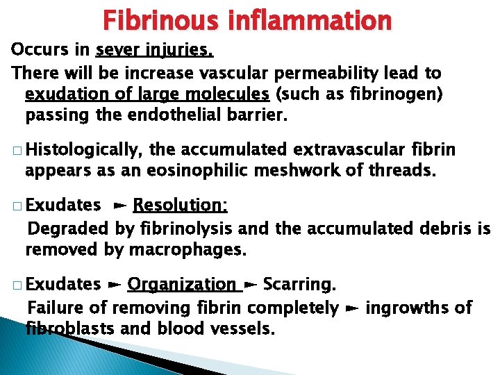 Fibrinous inflammation Occurs in sever injuries. There will be increase vascular permeability lead to Fibrinous inflammation Occurs in sever injuries. There will be increase vascular permeability lead to