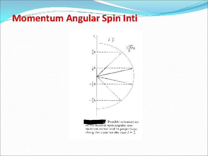 Momentum Angular Spin Inti 